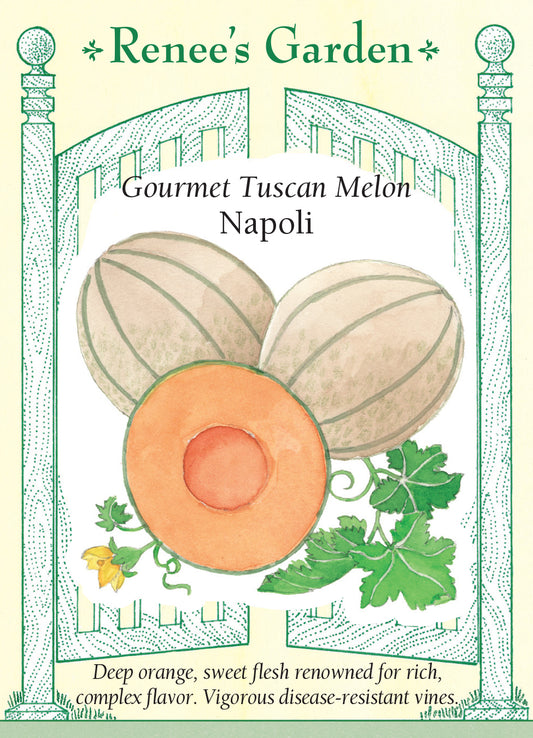 Melon  Tuscan Napoli