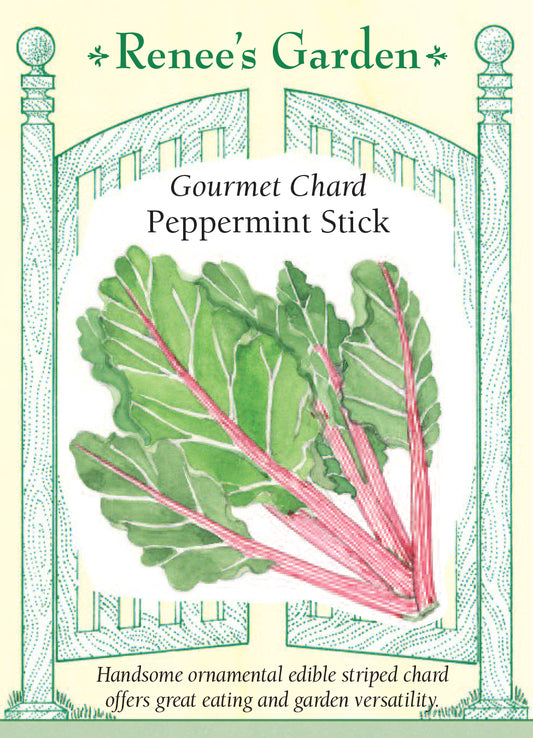 Chard  Peppermint Stick