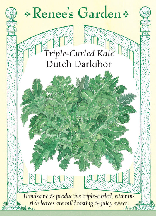 Kale Darkibor