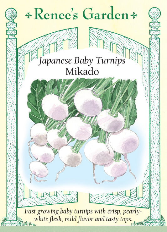 Turnip Mikado