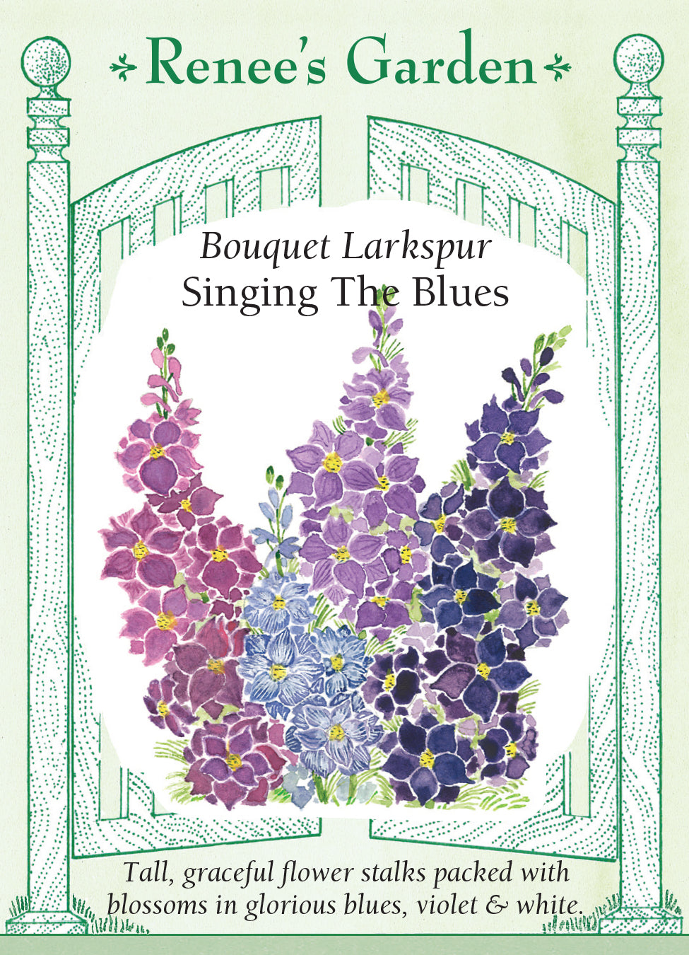 Larkspur Singing the Blues