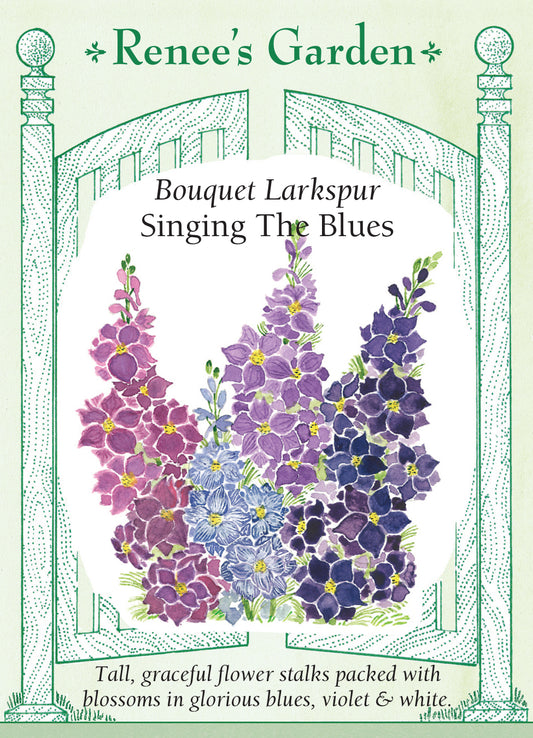 Larkspur Singing the Blues