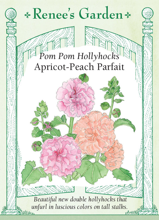 Hollyhock Apricot-Peach Parfait