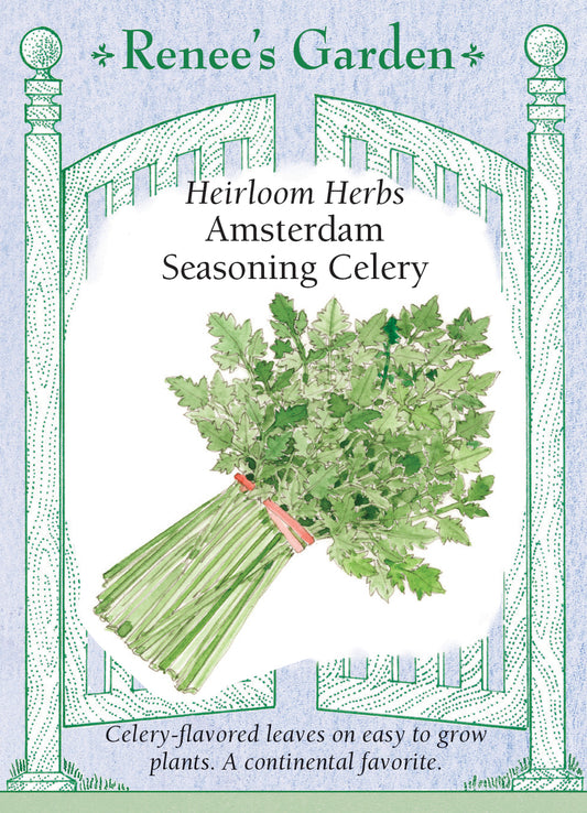Celery Amsterdam Seasoning