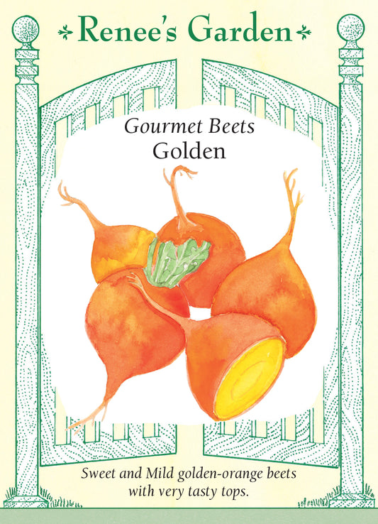 Beet Golden