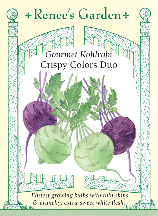 Kohlrabi Crispy Colors Duo