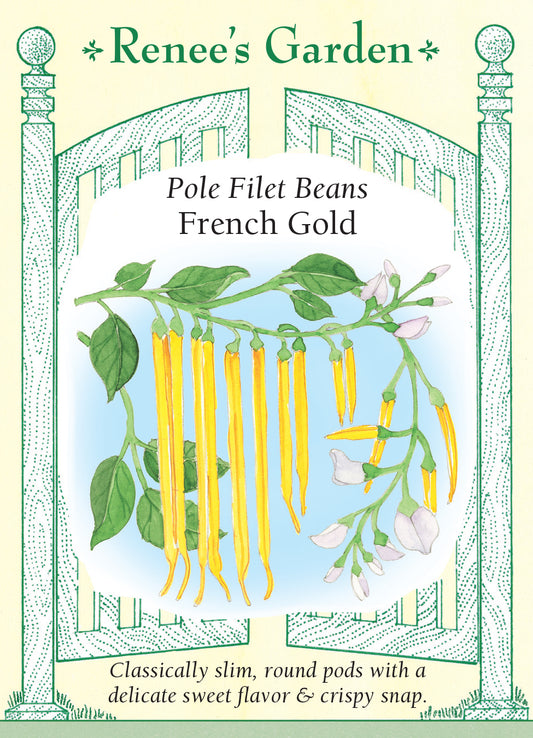 Bean Pole French Gold Filet