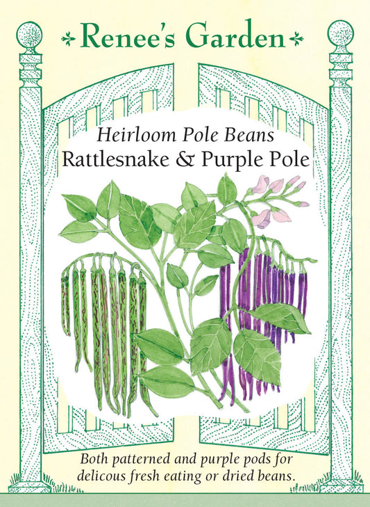 Bean Pole Rattlesnake & Purple