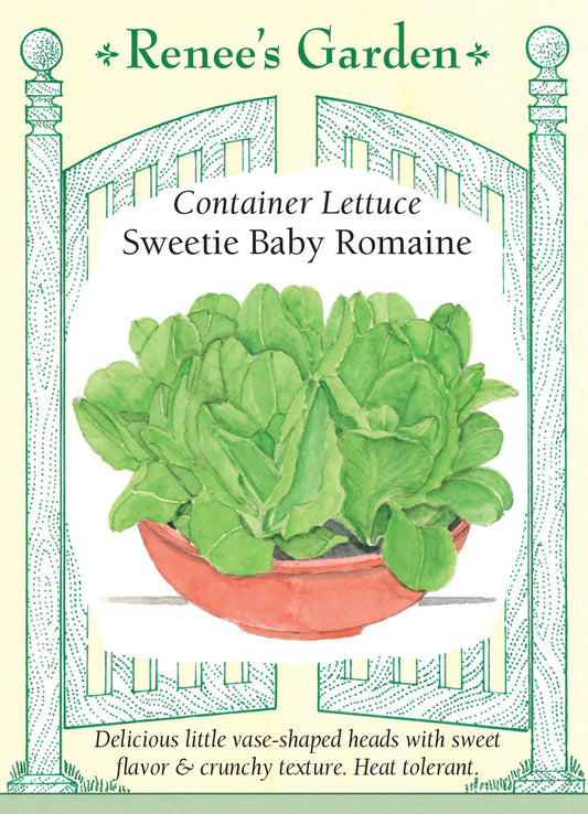 Lettuce Sweetie Baby Romaine