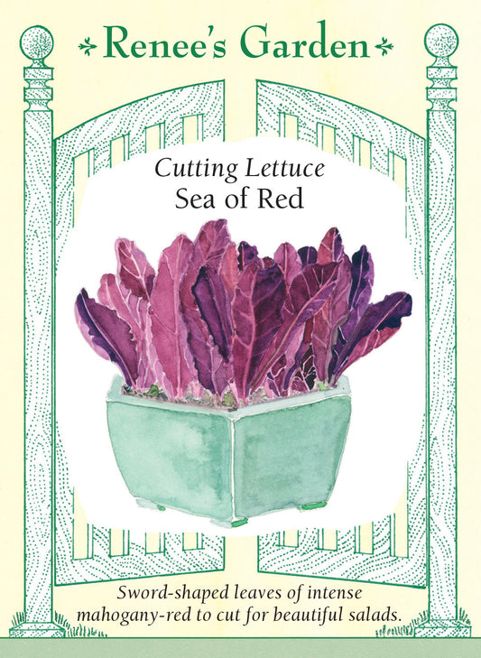 Lettuce Sea of Red
