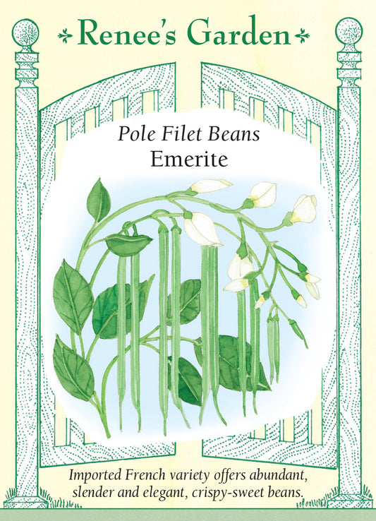 Bean Pole Emerite Filet