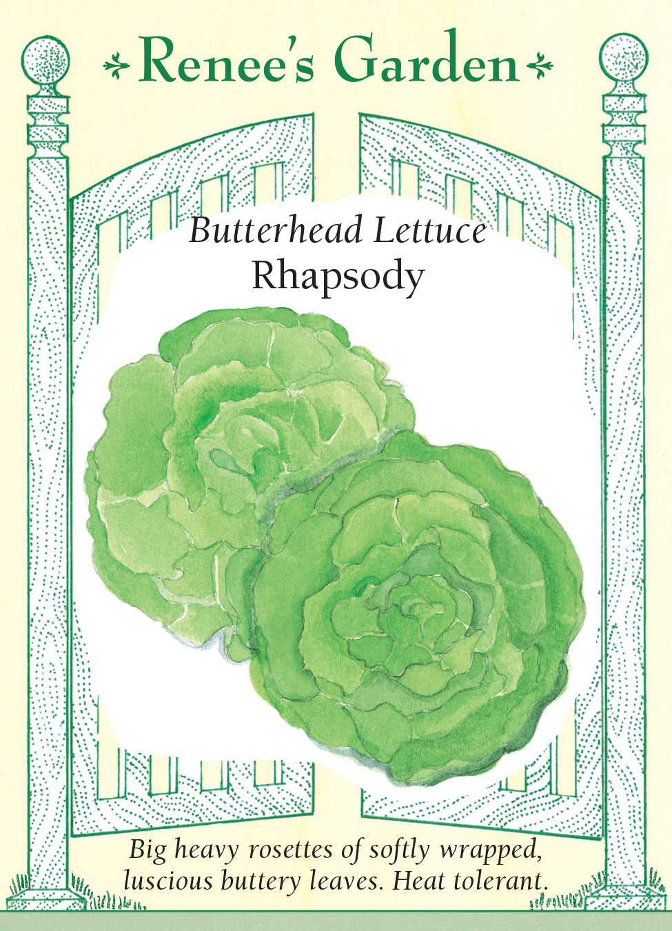 Lettuce Rhapsody Butterhead