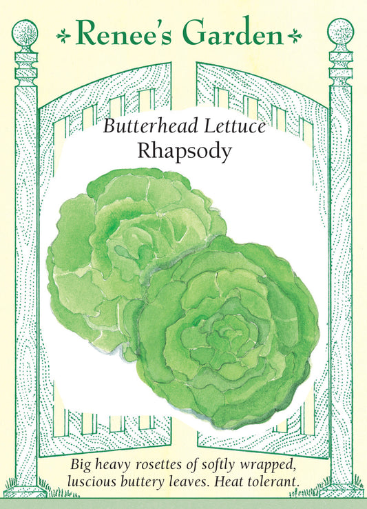 Lettuce Rhapsody Butterhead