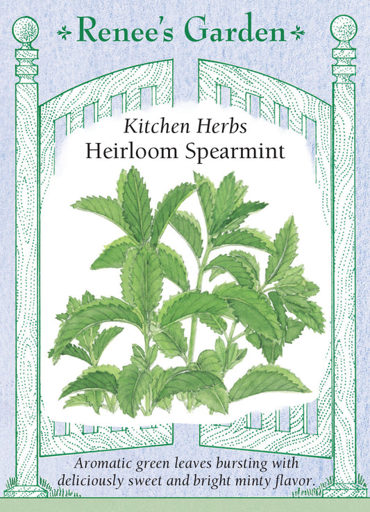 Spearmint