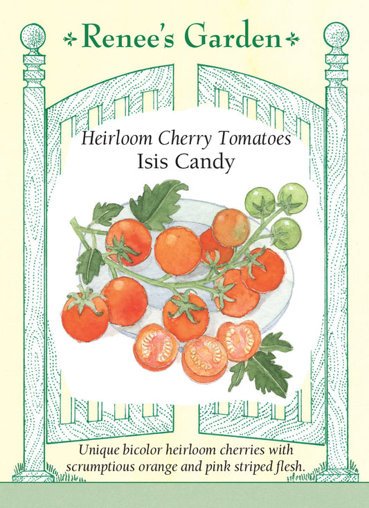 Tomato Isis Candy