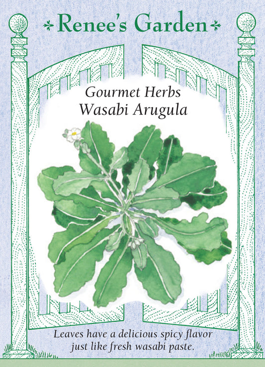 Arugula Wasabi