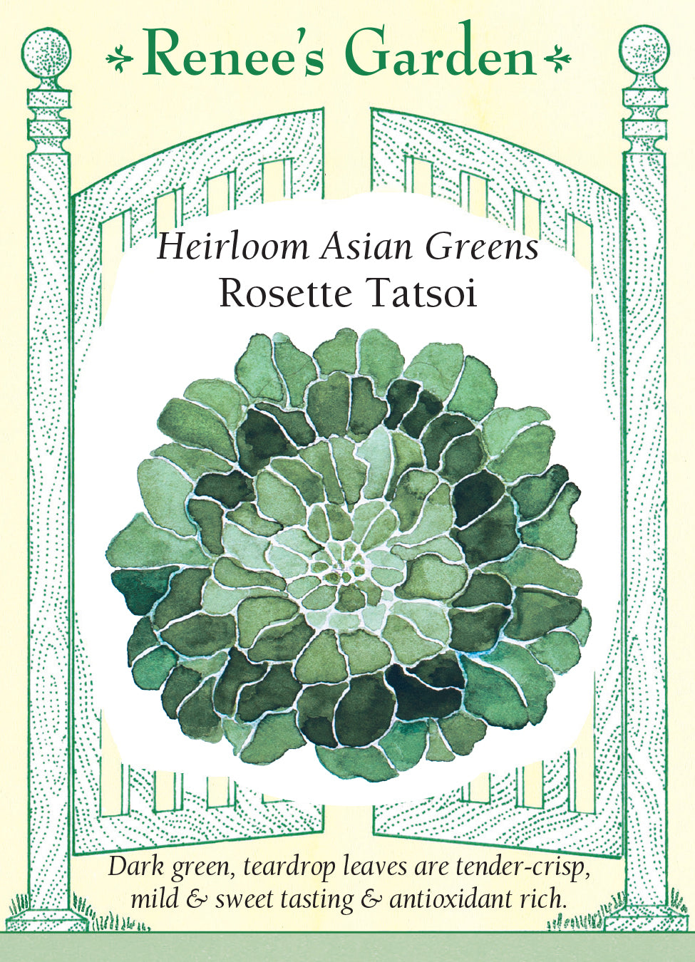 Greens Rosette Tatsoi