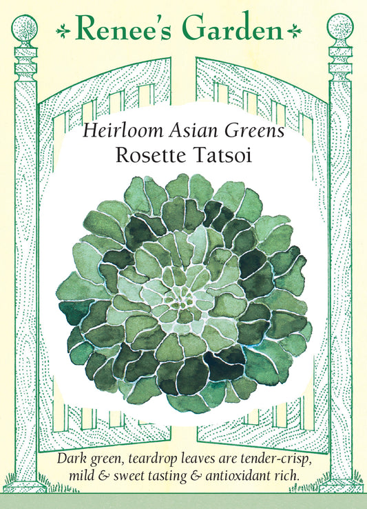 Greens Rosette Tatsoi