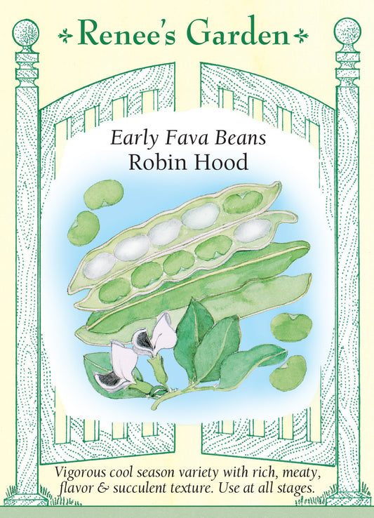 Bean Fava Robin Hood