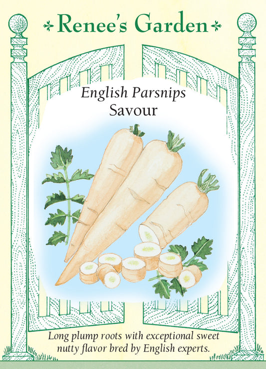 Parsnip Savour