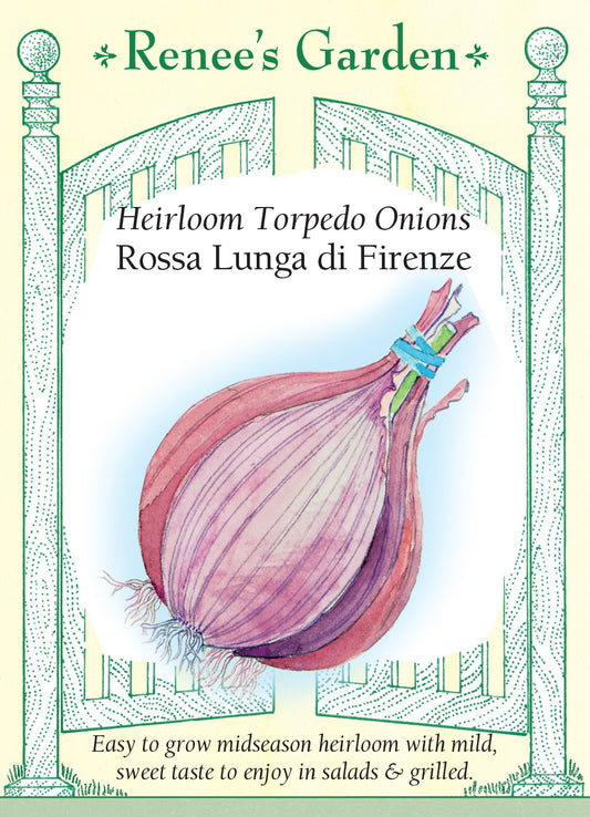 Onion Rossa Lunga di Firenze