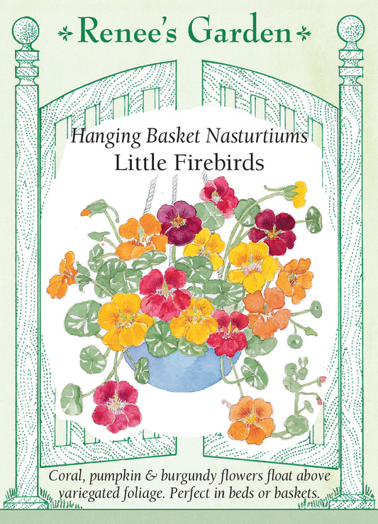 Nasturtium Little Firebirds