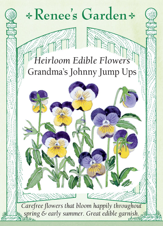 Viola Garden Grandma's Johnny Jump Ups