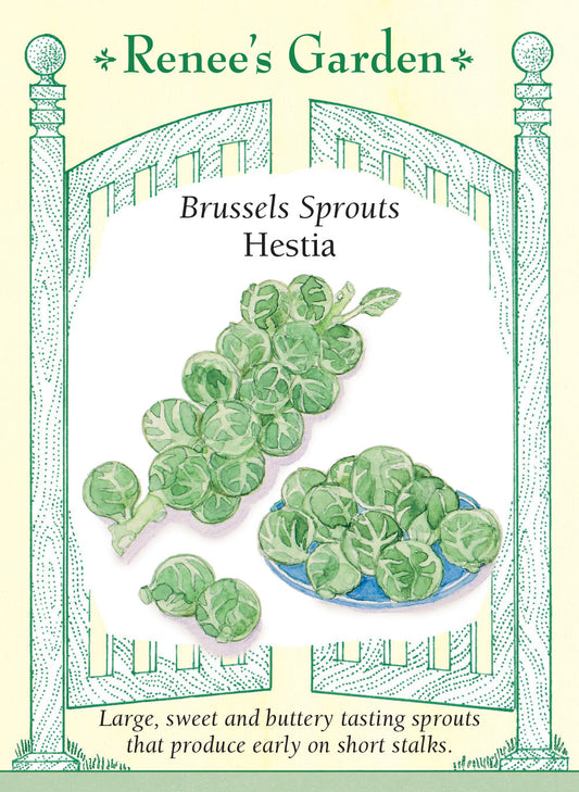Brussels Sprouts Hestia
