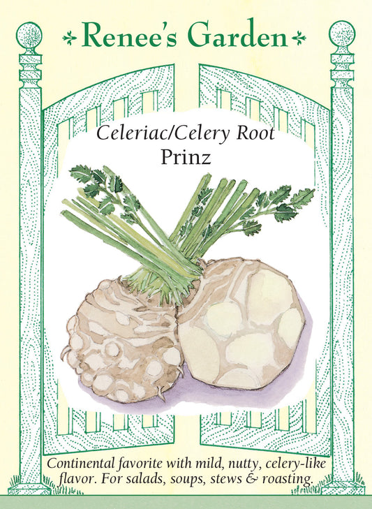Celeriac (Celery Root) Prinz