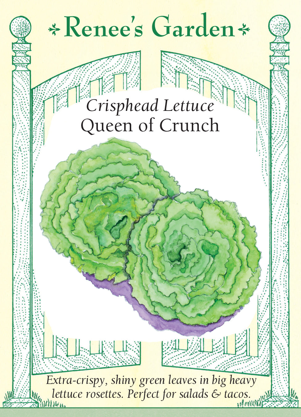 Lettuce Queen of Crunch Crisphead