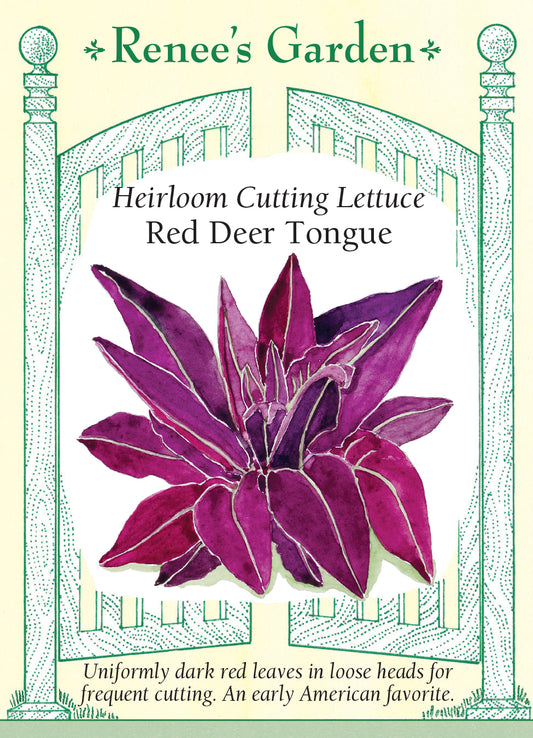 Lettuce Red Deer Tongue