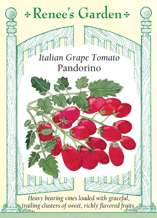 Tomato Grape Pandorino