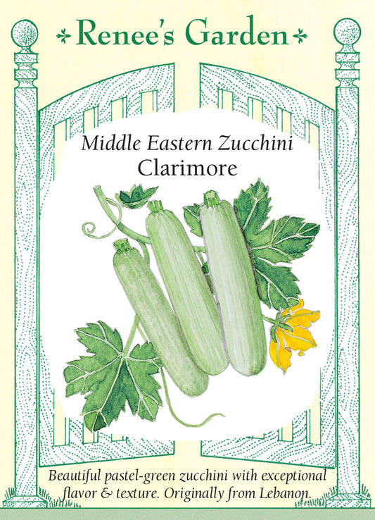 Squash Summer  Zucchini Clarimore