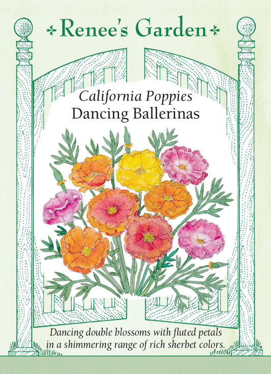 Poppy Californina Dancing Ballerinas