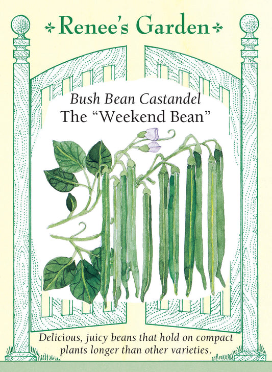 Bean Bush Castandel Weekend