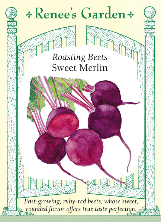 Beet Merlin