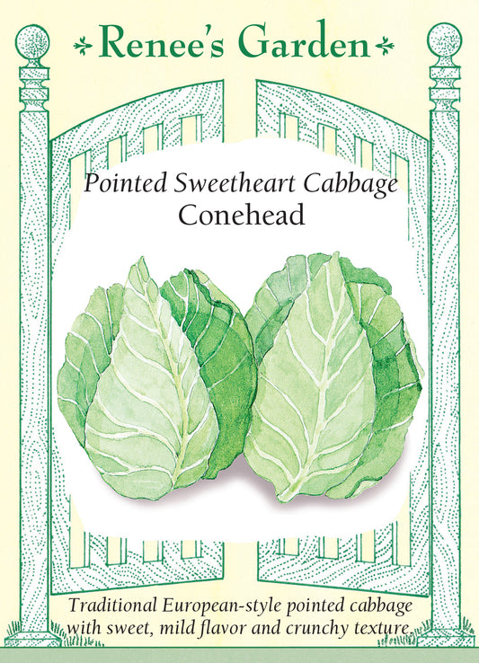 Cabbage Conehead
