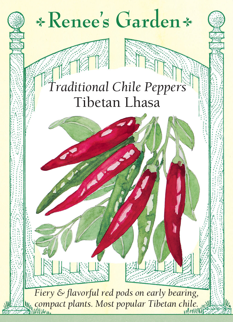 Pepper Chile Tibetan Lhasa
