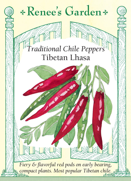 Pepper Chile Tibetan Lhasa