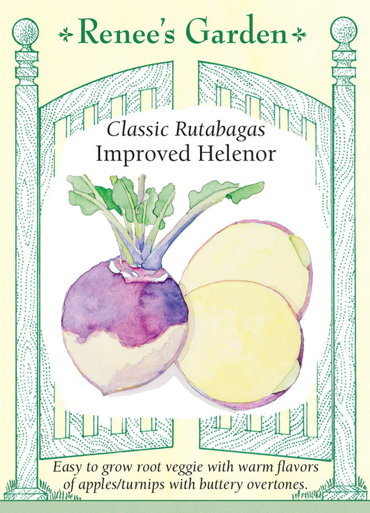 Rutabaga Improved Helenor