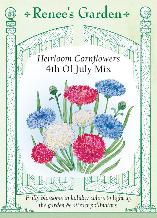 Cornflower 4th of July Mix