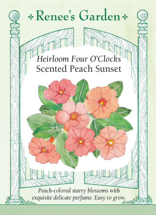 Four O'Clock Peach Sunset