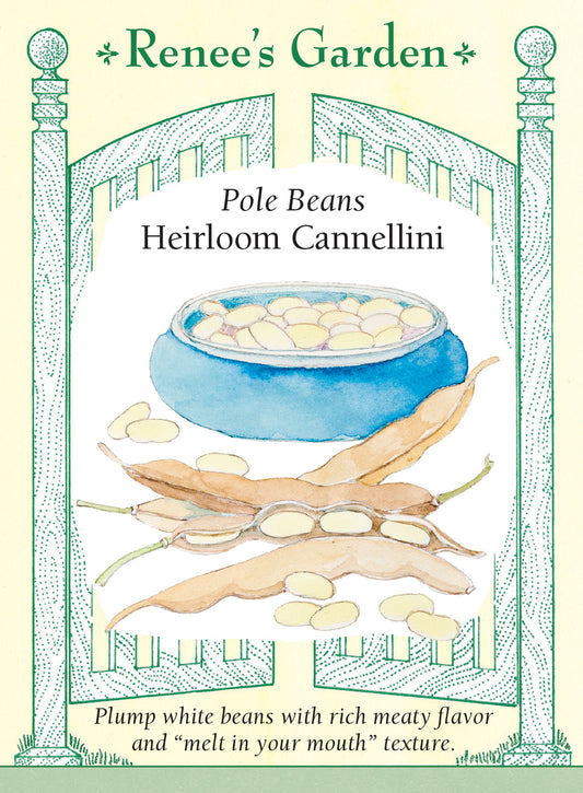 Bean Bush Cannellini