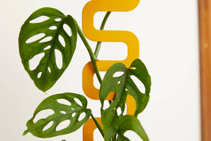 Metal Houselant Grow Pole 11"