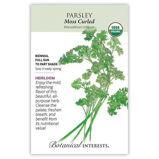 Parsley Moss Curled Organic