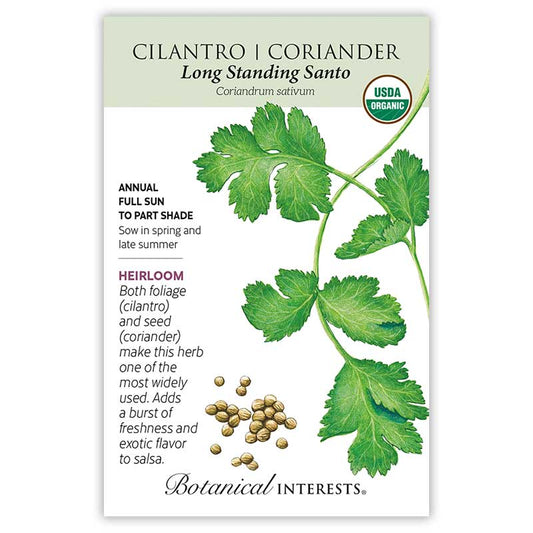 Cilantro/Coriander Long Standing Santo Organic