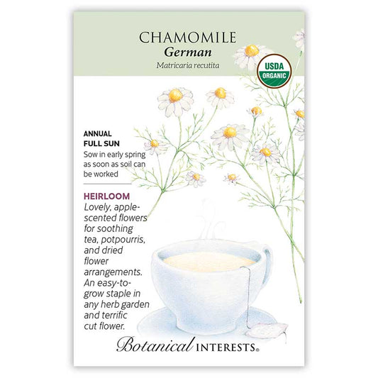 Chamomile German Organic