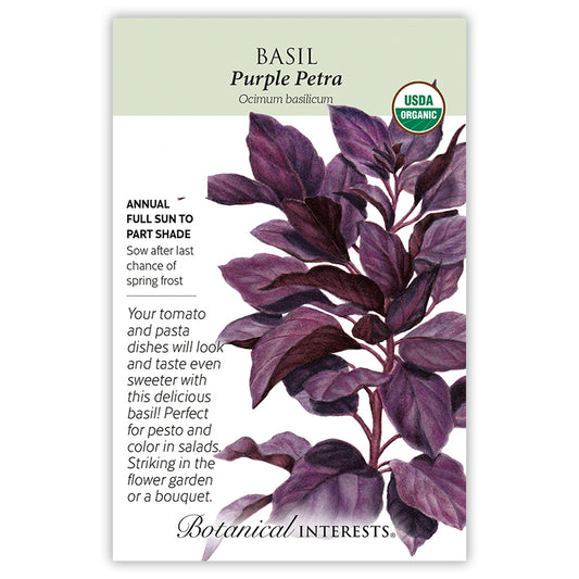 Basil Purple Petra