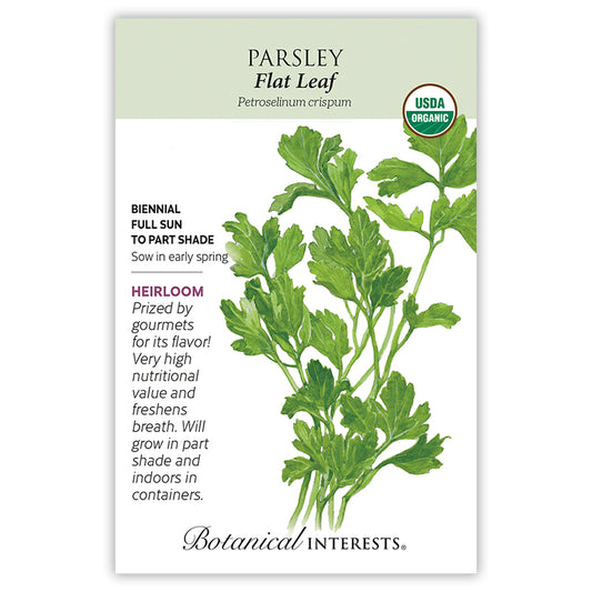 Parsley Flat Leaf Organic