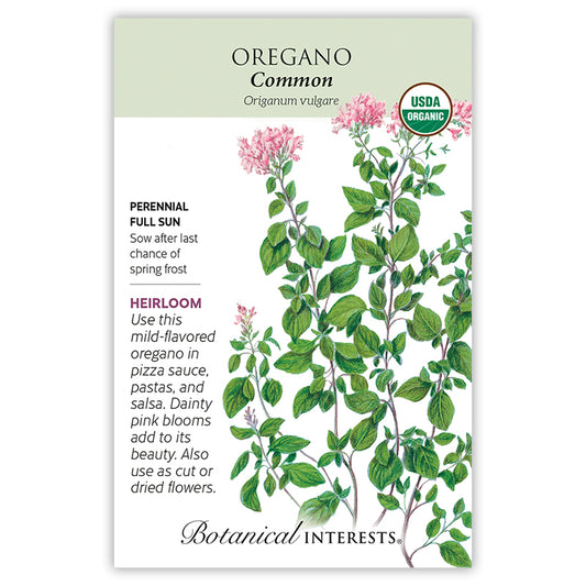 Oregano Common Organic